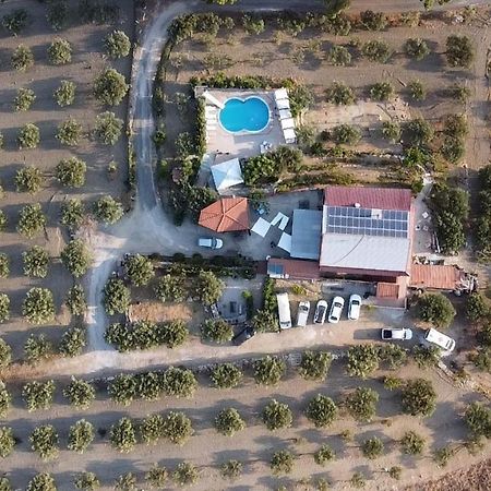 Terra Nostra Bed & Breakfast Cattolica Eraclea Exterior foto