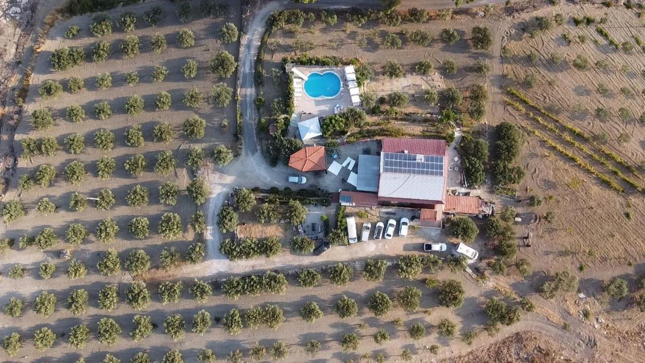 Terra Nostra Bed & Breakfast Cattolica Eraclea Exterior foto